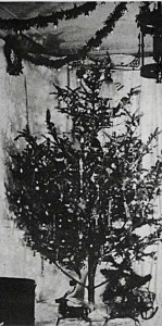 1st electric Christmas tree, 5th Ave., Dec. 22, 1882