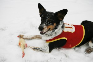 wes snowball fight